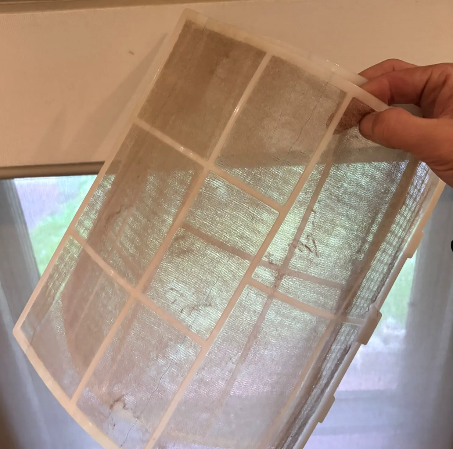 Split system filter held up to a window, clogged with dust and lint